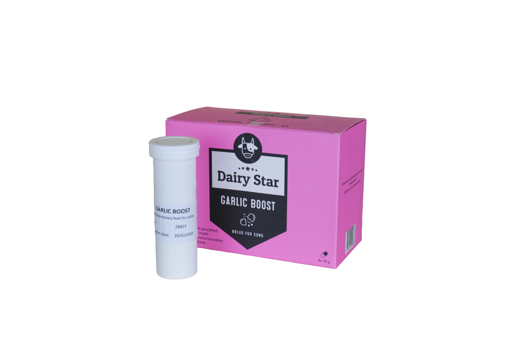 DairyStar Garlic Boost Bolus